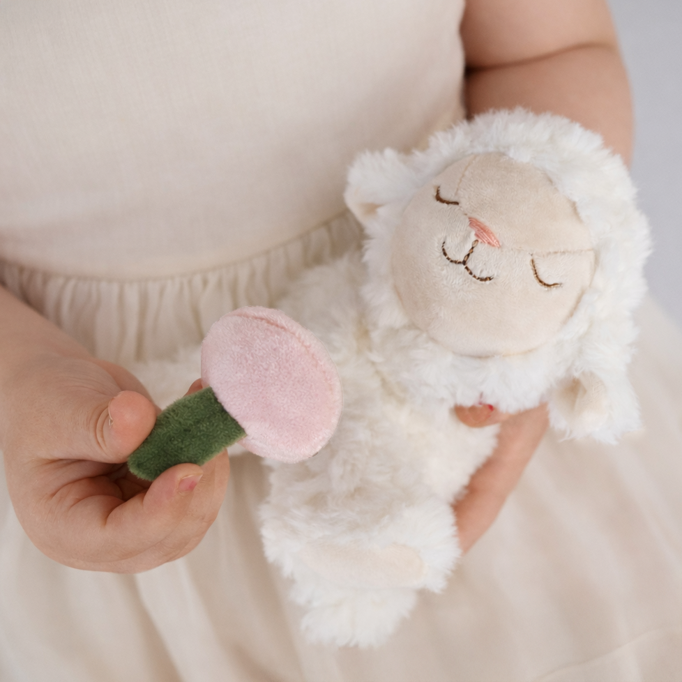 Olli Ella Binky Lamb - May