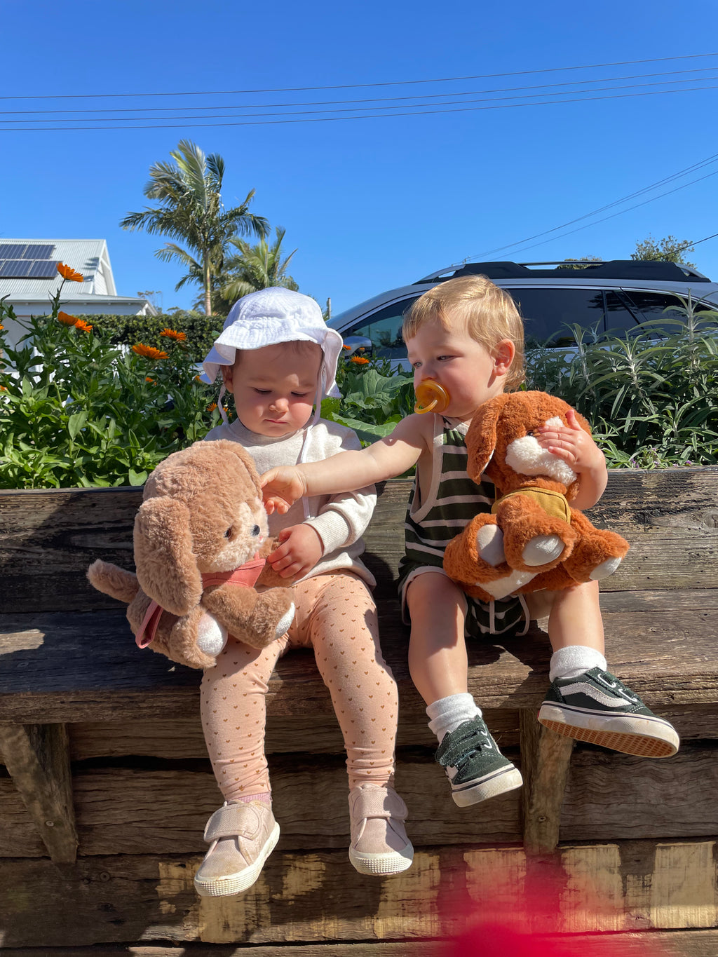 Olli Ella Dinkum Dogs Honey