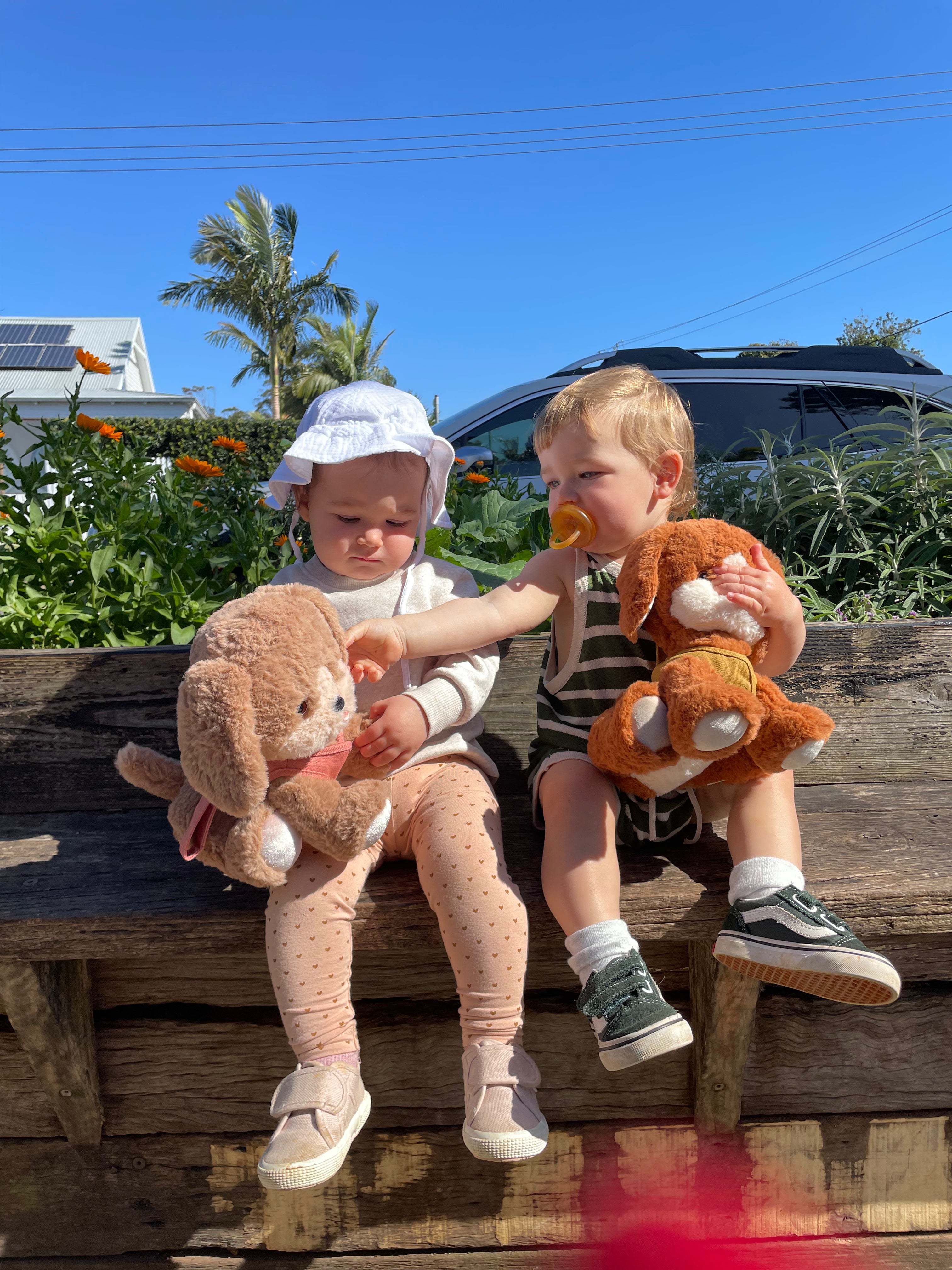 Olli Ella Dinkum Dogs Honey